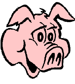  A Pig 