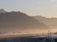 041203174900_purpulish_morning_mist