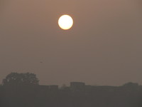 041223170312_sunset_ranthambhore