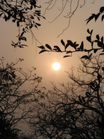 041222164326_sunset_at_ranthambhore_fort