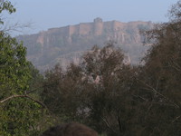 041223094622_ranthambhore_fort