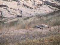 041223152904_crocodile_at_ranthambhore