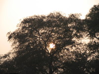 041223164612_sunset_at_ranthambhore