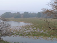 041223170050_lake_in_ranthambhore