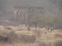 041223170416_ruin_at_ranthambhore