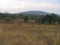 050101074944_grassland_of_panna