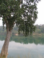 050101084628_panna_river