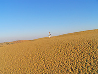 041212031228_musician_in_desert