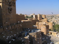 041214232900_flying_pigeons_in_jaisalmer