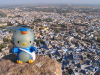 041216023638_penguin_kitty_and_jodhpur