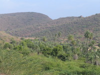 041221145604_jungles_around_bundi