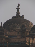 050103105422_vulture_on_jehangir_mahal