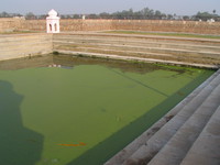 050104152000_green_water_pool