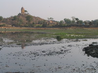 050104152624_birds_in_dried_lake