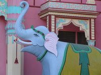 041206020606_holy_elephant