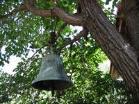 019_oriental_bell