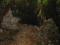 015_133-3342_img_s