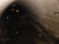 006_secret_tunnel_with_bats_flying_around