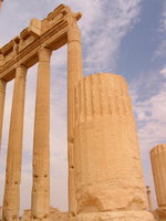 028_columns_in_bel