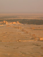 053_red_palmyra_s