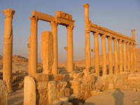 073_columns_at_the_morning