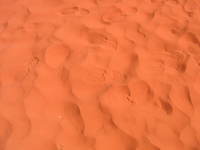 009_footprints_in_the_desert