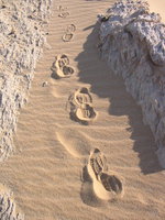 021_footprints_in_white_desert