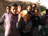 011_bahariya-boys