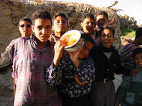 011_bahariya-boys