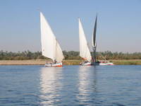 007_felucca_team