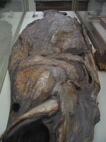 083_fish_mummy