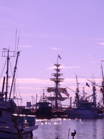 08080024_purple_tall_ships