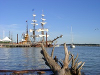 08080039_pretty_tall_ship