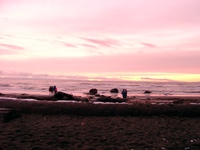 01010056_sunset_party
