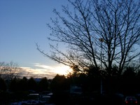 01030003_tree_and_sunset