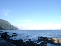 06260022_fogs_of_thrasher_cove