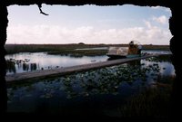 001_everglade_airboat