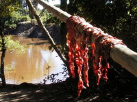 015_our_dinner_in_making