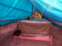 010_amazon_jungle_camping