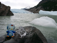 11130032_kitty_and_glacier