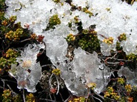 11190011_icy_morning