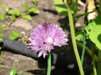 105-0533_img