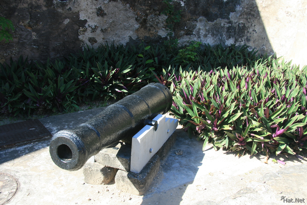 portuguese cannon