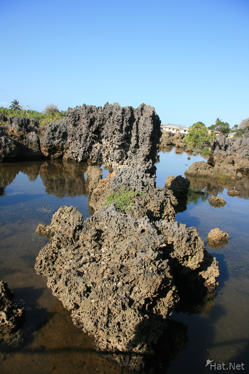 coral rock