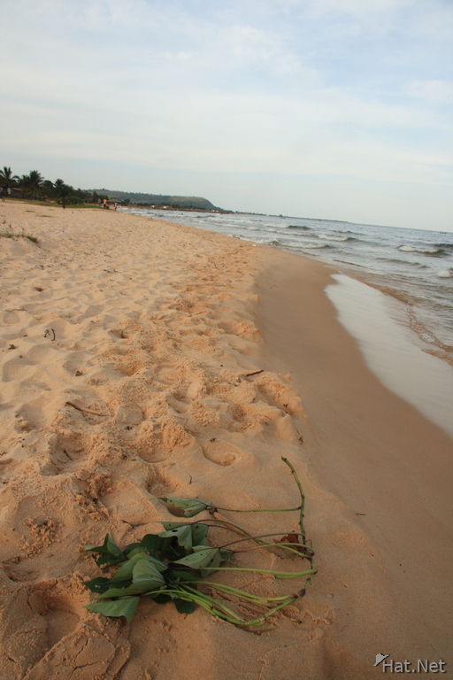 beach of bukoba