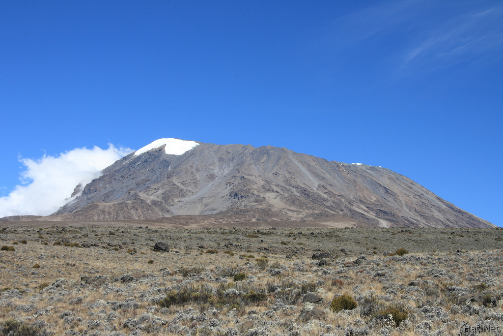 snow of kilimanjaro