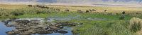 ngorongoro Ngorongoro Crater, Arusha, East Africa, Tanzania, Africa