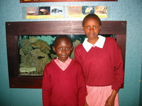 students in snake park Nairobi, East Africa, Kenya, Africa
