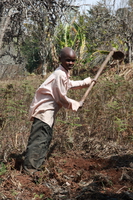 future farmer Rawangi, East Africa, Tanzania, Africa