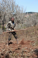 farming Rawangi, East Africa, Tanzania, Africa